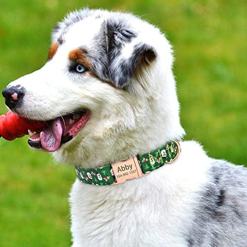 Senristar 10+ uzorci Personalizirani ogrlice za pse s imenom, prilagođene ugravirane ogrlice za pse sa zlatnom kopčom za male srednje