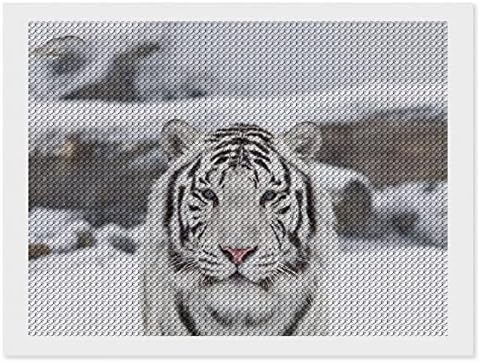 Bijeli tigar snježni dijamantni setovi 5d diy puna bušilica od rinestone umjetnosti zidni dekor za odrasle 12 x16