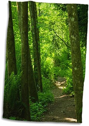 3D Rose staza koja se vijuga kroz šumu-bellevue-washington-US48 JDA0067-Janell Davidson ručni ručnik/sportski ručnik, 15 x 22