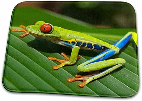 3-Zelena egzotična žaba gmazova - prostirke za sušenje posuđa