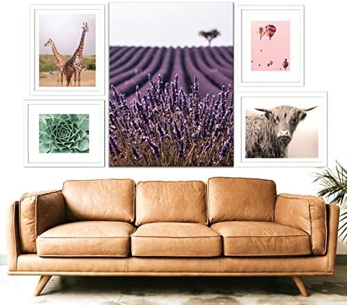 Skromna elegantna biljka kaktusa, 8x10 Horizontalni otisci umjetničkih zidova - Neprerađeni HD tiskane biljke slike ukrasi plakata