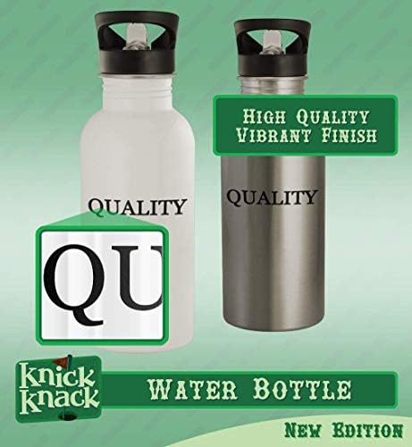 Knick Knack pokloni stephans - boca vode od nehrđajućeg čelika od 20oz, srebrna