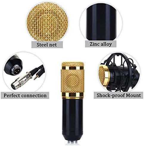 LMMDDP Profesionalni kondenzator Mikrofon Kardioid Audio Studio Vokalno snimanje Mic KTV Microphone + Shock Mount