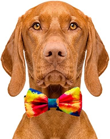 Cutie kravate pseće kravate duge - 2 x 4 vrhunske kravate za pse - maštovita kravata za pse s klizanjem preko elastičnih traka - slatka