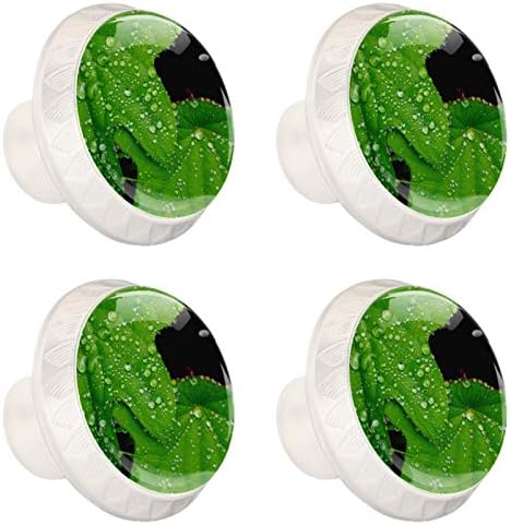 Gumbi za ladice u rasponu divlje zelene boje s kapljicama rose mat bijele ručke moderne ručke za vrata ormara 4pcs ručke za ormar za
