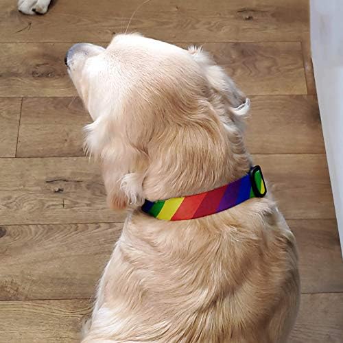ButtonsMith Rainbow Flag Dog ovvratnik - napravljen u SAD -u - Fadeofoif trajno vezani tisak, kopča otporna na hrđu vojnog razreda,