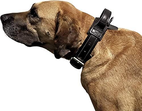 Dingo Gear Max Originalni kožni ovratnik za pse ekstremno jak i izdržljiv crni S04031
